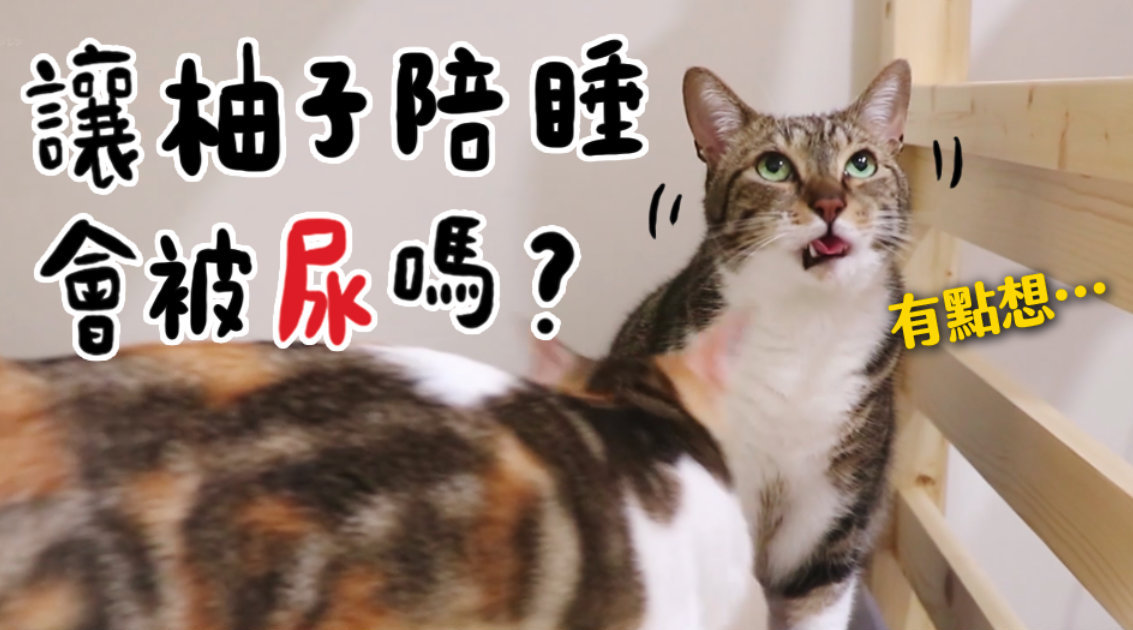 柚子: 「這位置感覺很適合...